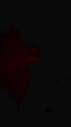 Oktopussyy webcam model stream image