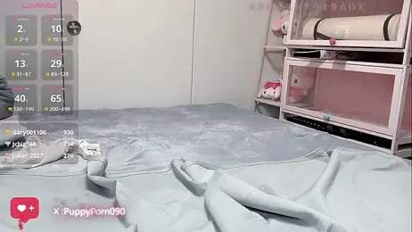 nide_xiaogou webcam model stream image