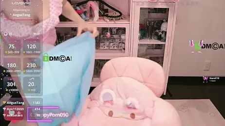 nide_xiaogou webcam model stream image