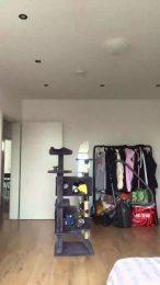 youngplayboymm webcam cam4 model stream image