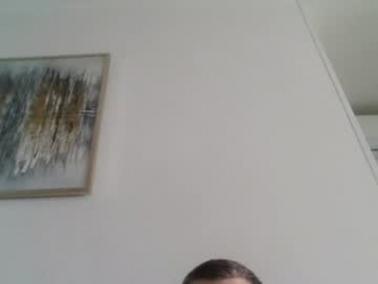 vorvik webcam model stream image