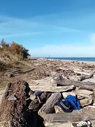 pegaso369 webcam model stream image