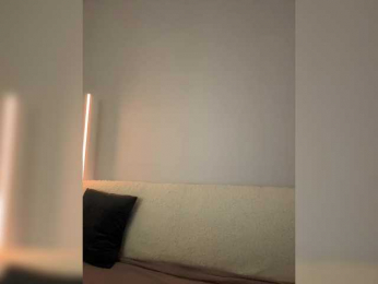 North-Pole webcam model stream image