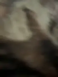 StrokingDaddy4 webcam model stream image