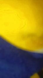 Lechero1233 webcam model stream image