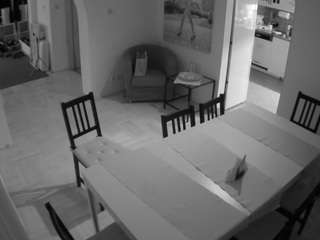 voyeurcam-julmodels-dining webcam model stream image
