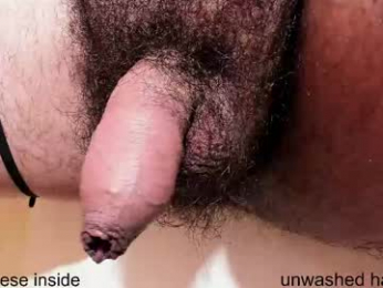 prettyvelludo webcam model stream image