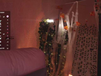 _Q_ webcam model stream image