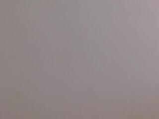 Stefanny Taylore webcam model stream image