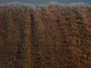 Dre Drake webcam flirt4free model stream image