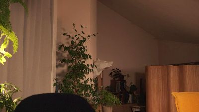 Yulla webcam model stream image