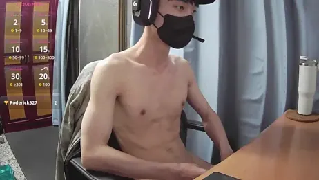 gray1103 webcam model stream image