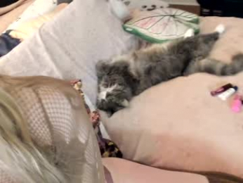 eve003300 webcam model stream image