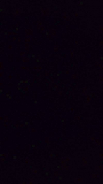 Isisytomy webcam model stream image