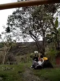 sky-wolves webcam model stream image