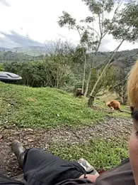 sky-wolves webcam model stream image