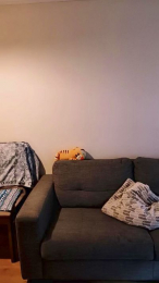 AlmaPagana webcam model stream image