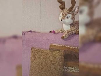 HaisonEris1 webcam model stream image