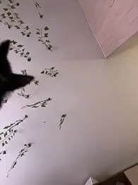 -Sexy_Barbie- webcam model stream image