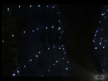 ALVUWKA bongacams stream image