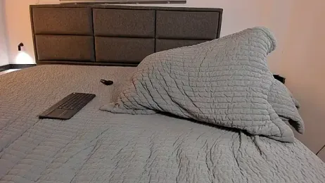 GiaFaaris stripchat stream image