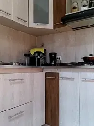 shelby_kutter stripchat stream image