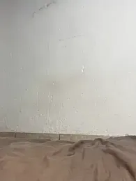 teddy04 stripchat stream image