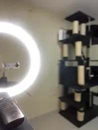 MiaJones21 stripchat stream image