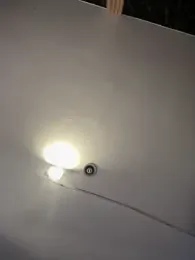 Rose-euphoria stripchat stream image