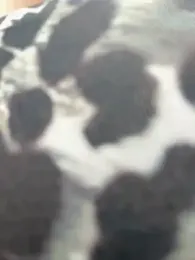 Liza_risky stripchat stream image