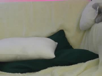 shycinderella chaturbate stream image