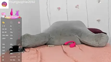 YoungSophie stripchat stream image