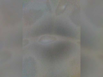 EditaMilf bongacams stream image