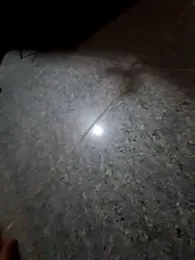 Cute_plak01 stripchat stream image