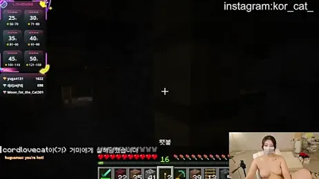 Kor_Cat stripchat stream image