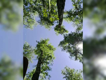 Chris_Diamond bongacams stream image