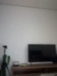 Nikatsu stripchat stream image