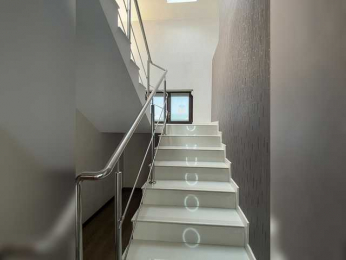 BabyDarii bongacams stream image