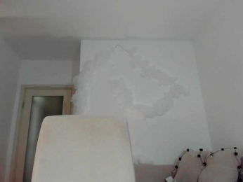 MiaMeowa bongacams stream image