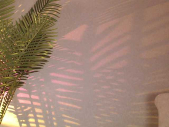 Maribett bongacams stream image