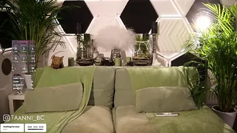 taanni_bc stripchat stream image