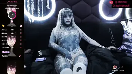 TyphoidMary stripchat stream image