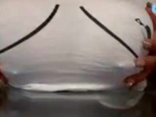 ladycruz camsoda stream image