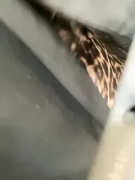 BigFineSelena stripchat stream image