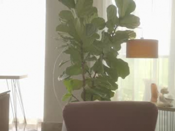 emma_lu1 chaturbate stream image