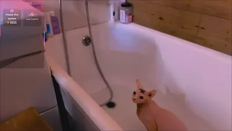 Britney_Lynch stripchat stream image