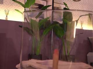 ellediane camsoda stream image