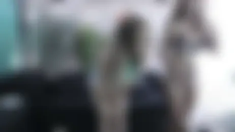 Dajla stripchat stream image