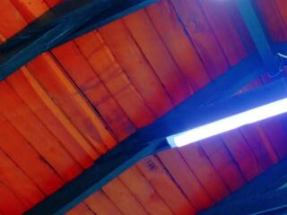 Tianah Glow flirt4free stream image