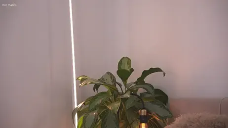 Faster_maci stripchat stream image